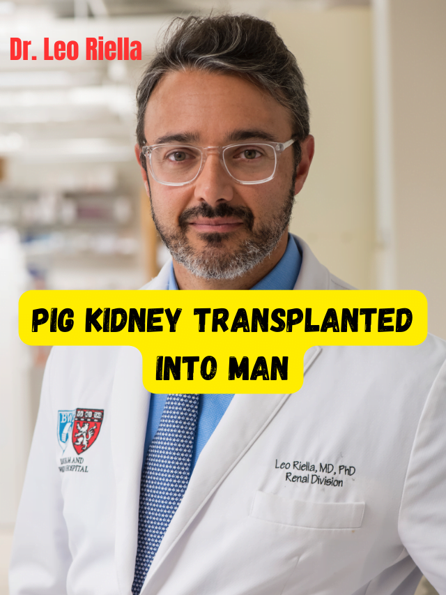 Historic Pig Kidney Transplant at Massachusetts General Hospital