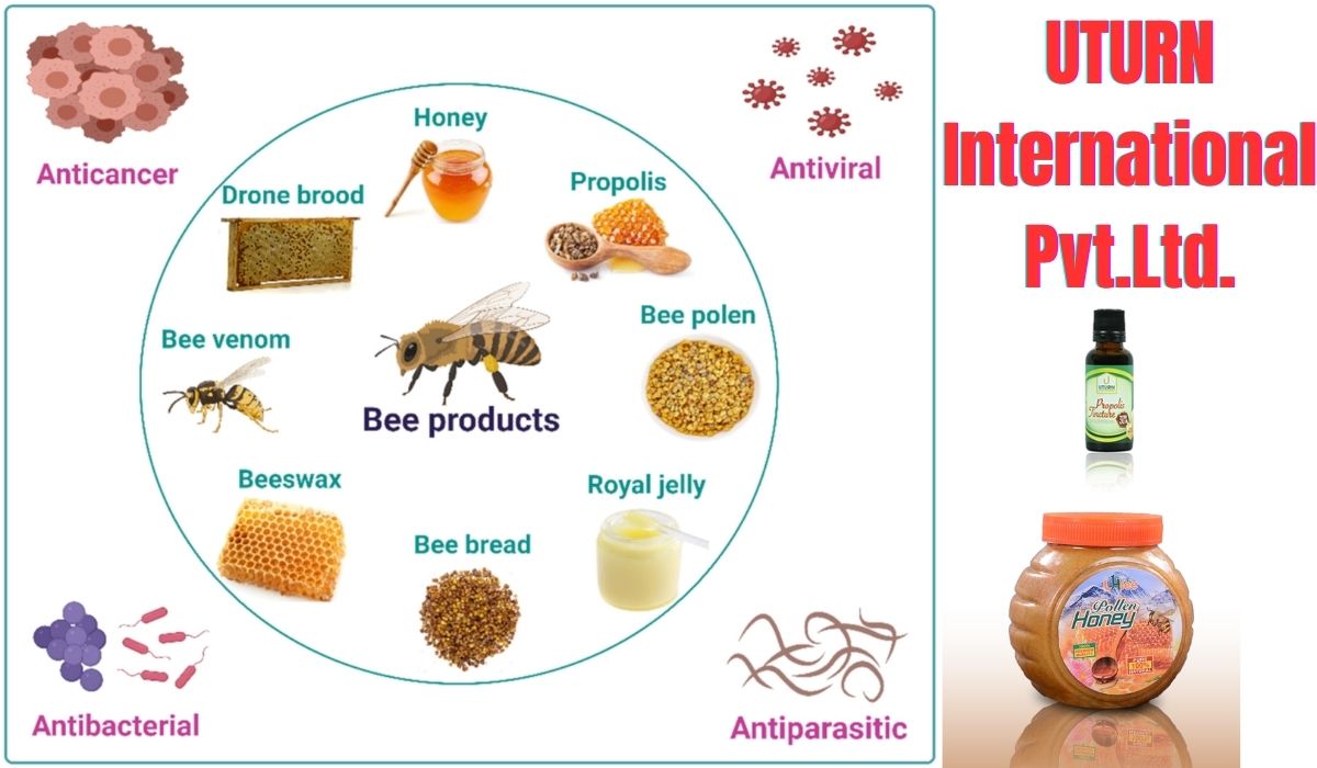 Propolis: Your Immune System's Best Friend | तपाईंको प्रतिरक्षा प्रणालीको सबैभन्दा राम्रो मित्र