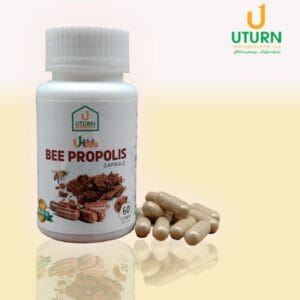 Bee Product पौष्टिक आहारको सेवन गरि गराई रोग लाग्नबाट बचौ र बचाऔ Bee Product पौष्टिक आहारको सेवन गरि गराई रोग लाग्नबाट बचौ र बचाऔ