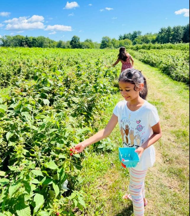 The Strawberry and the Journey of Angela's Body