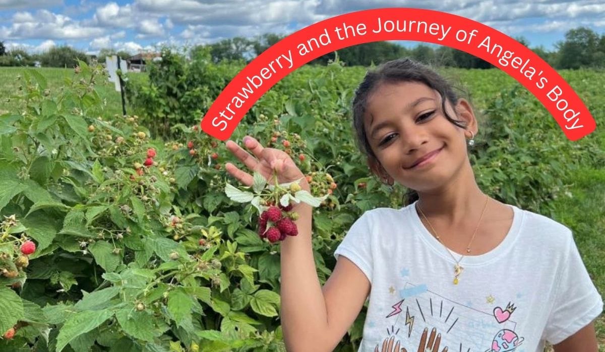 The Strawberry and the Journey of Angela’s Body