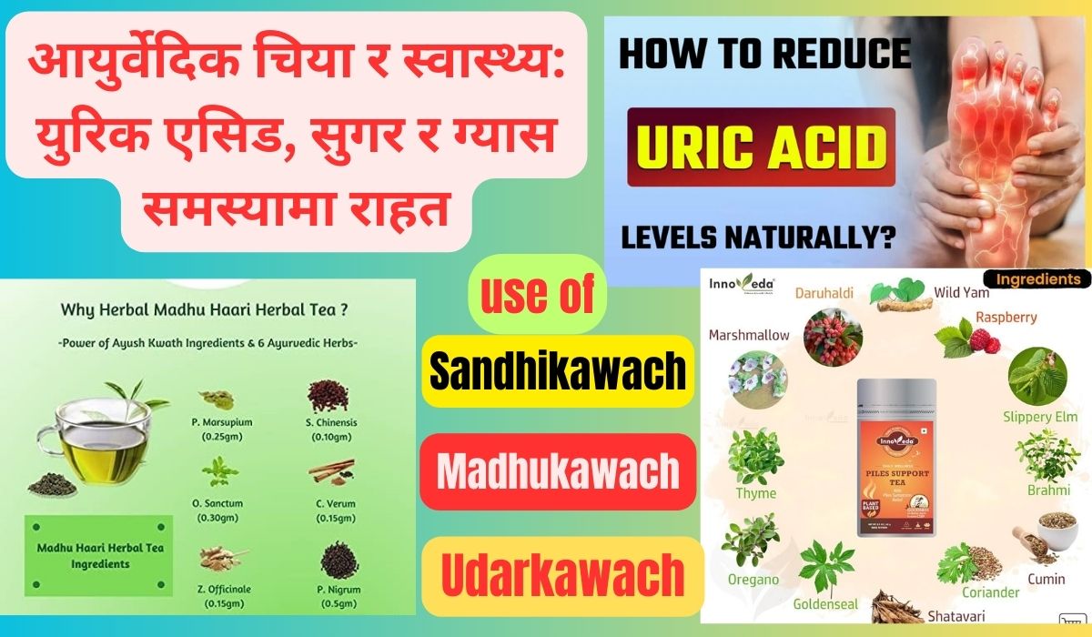 आयुर्वेदिक चिया र स्वास्थ्य: युरिक एसिड, सुगर र ग्यास समस्यामा राहत