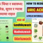 आयुर्वेदिक चिया र स्वास्थ्य: युरिक एसिड, सुगर र ग्यास समस्यामा राहत