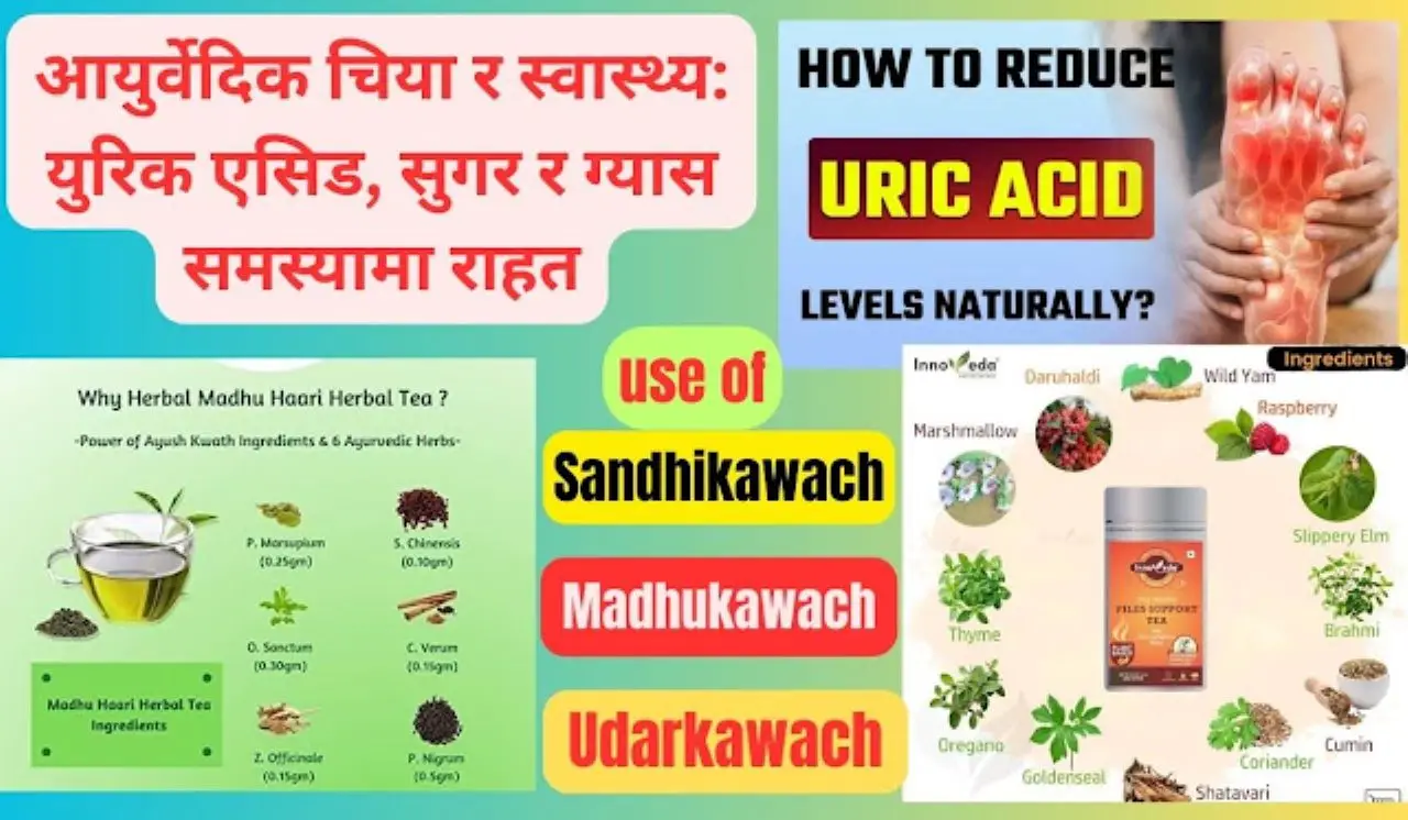 आयुर्वेदिक चिया र स्वास्थ्य: युरिक एसिड, सुगर र ग्यास समस्यामा राहत