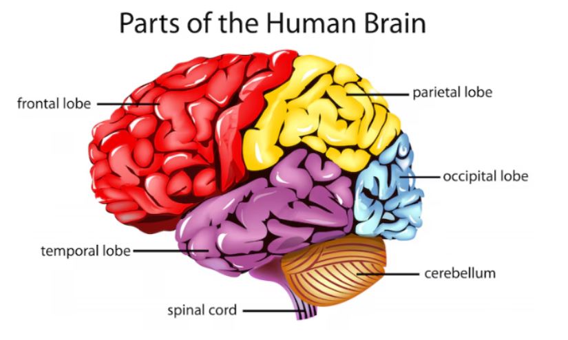 मनको शक्ति: सकारात्मक सोच र मानसिक स्वास्थ्य