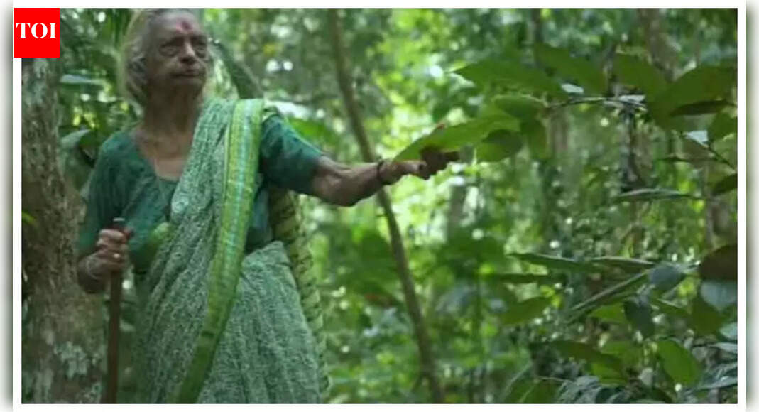 How a 92-year-old in Alappuzha, Kerala, battled physical and emotional handicaps to build a free medicinal sanctuary – The Times of India