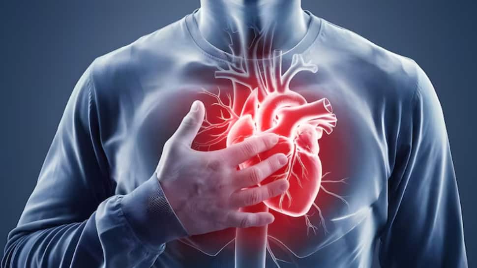 Experts reveal that cardiovascular diseases are the cause of nearly 28% of all deaths in India