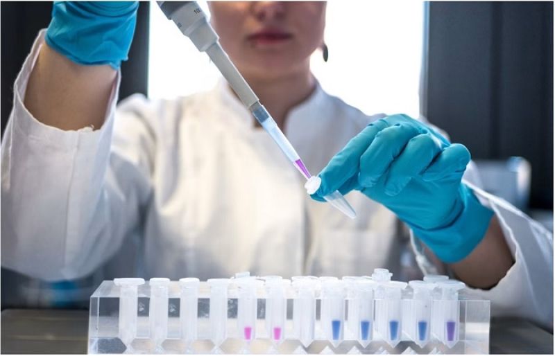 Follistatin-344: A Regulatory Peptide in Growth Factor and Experimental Biology Research – SUCH TV