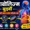 मेटाबोलिज्म बुझौँ: शरीरले कसरी खाना ऊर्जामा परिवर्तन गर्छ?