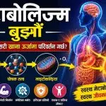 मेटाबोलिज्म बुझौँ: शरीरले कसरी खाना ऊर्जामा परिवर्तन गर्छ?